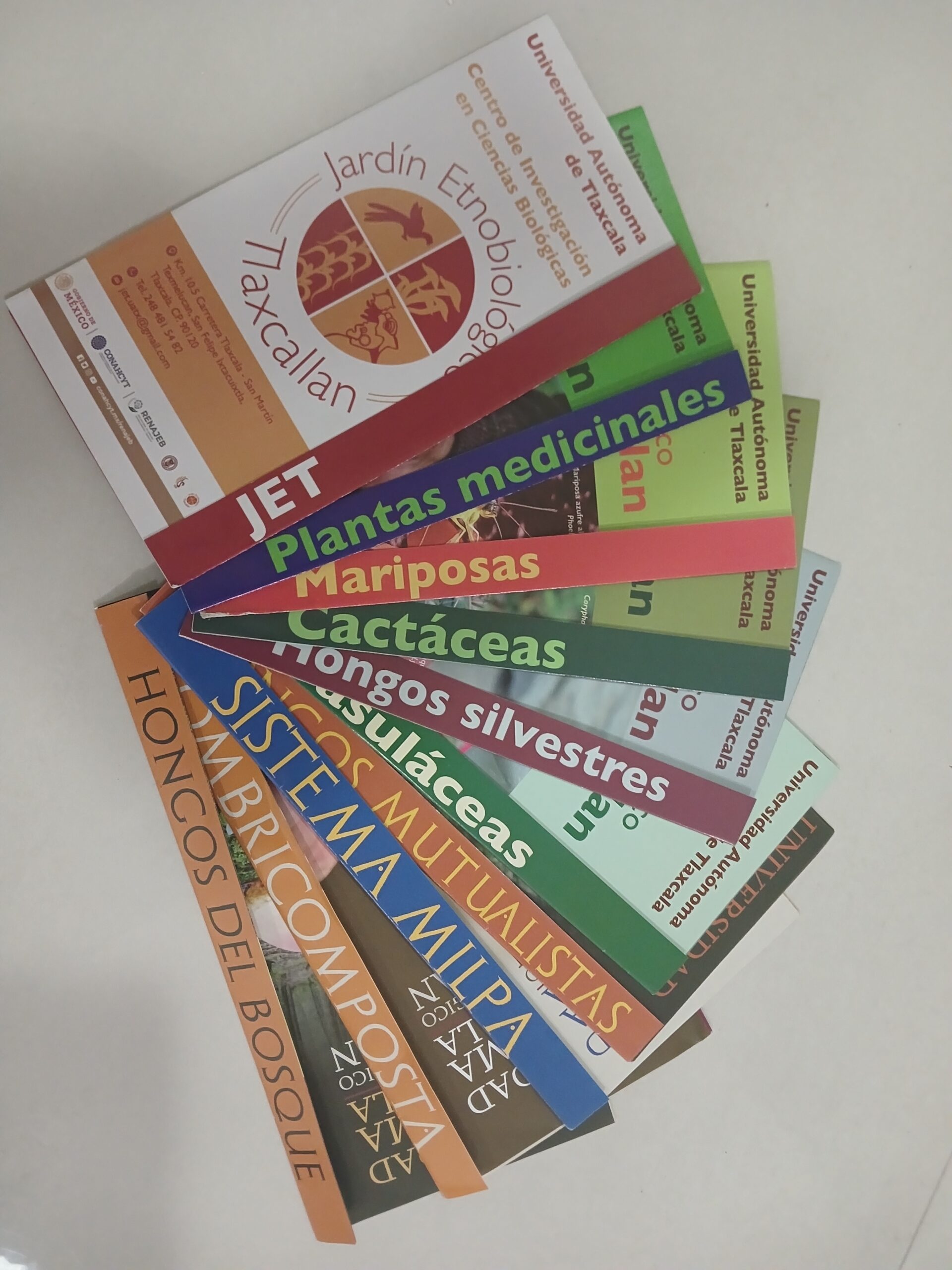 Trípticos en español